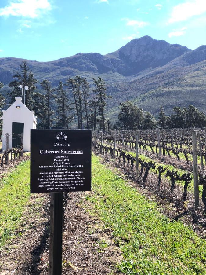 The Vineyard Cottage By L' Amitie Estate Franschhoek Bagian luar foto